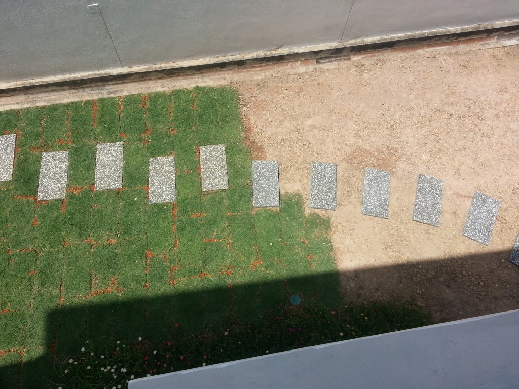 20140802_141418