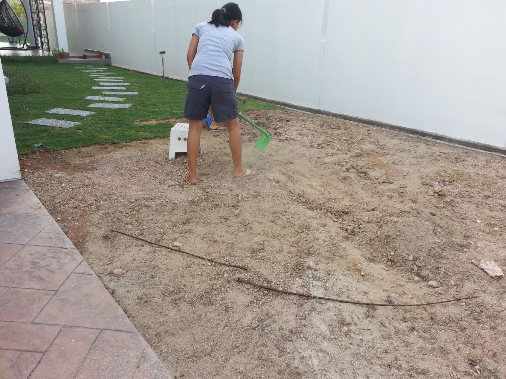 20140808_175733